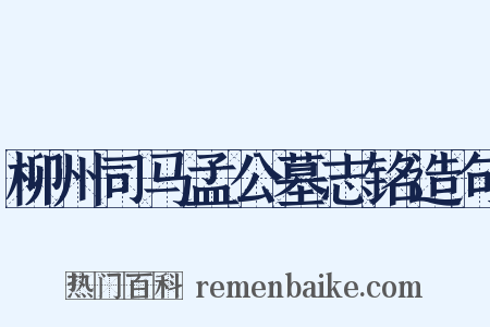 柳州司马孟公墓志铭造句是什么意思的图片